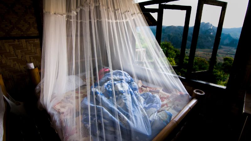 sleep in a mosquito net to prevent mosquitoes